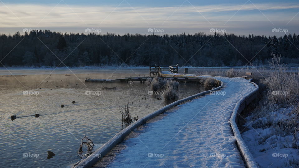 Burnaby Lake, Vancouver, B.C.