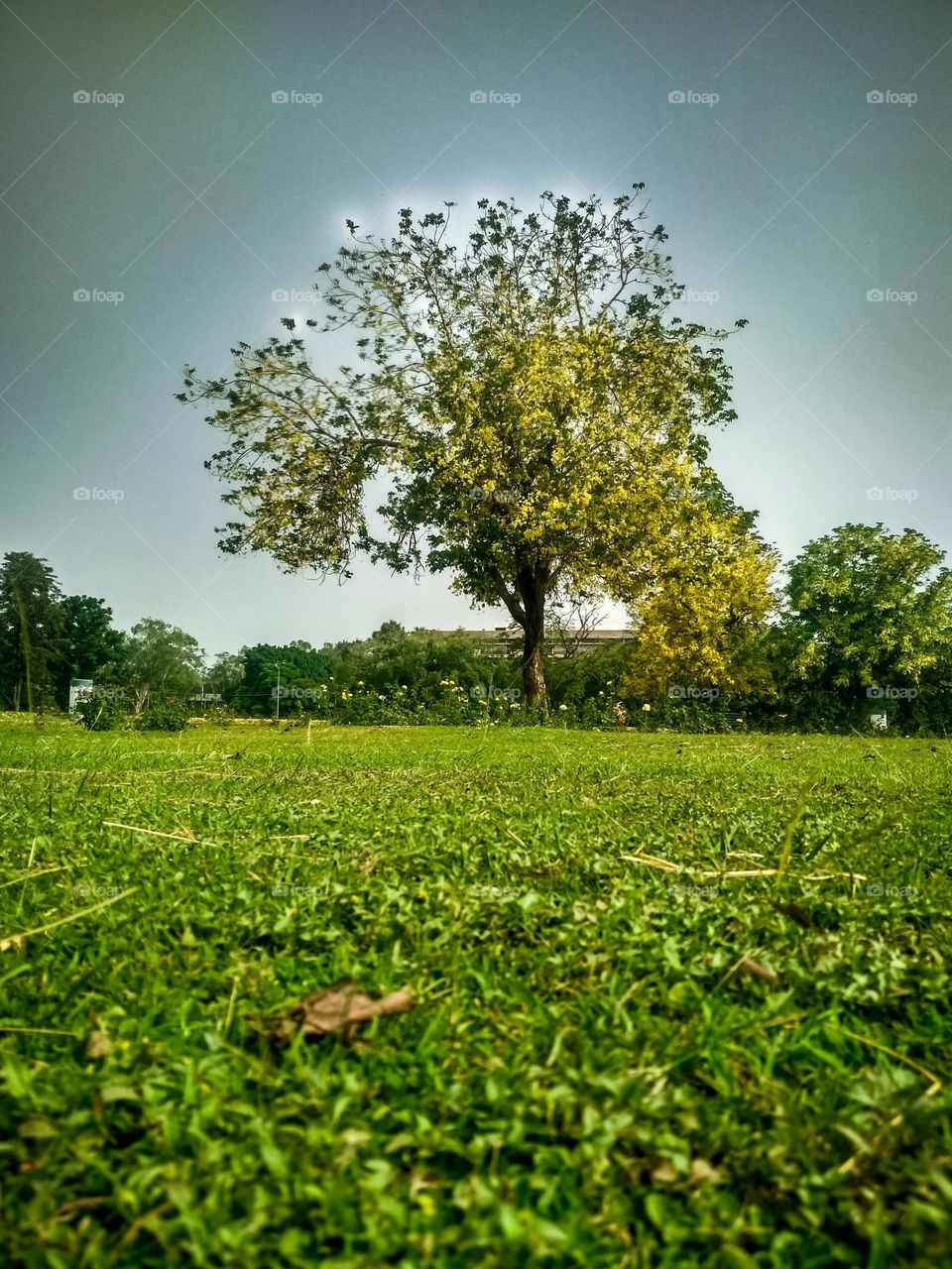 beautiful scenery view.