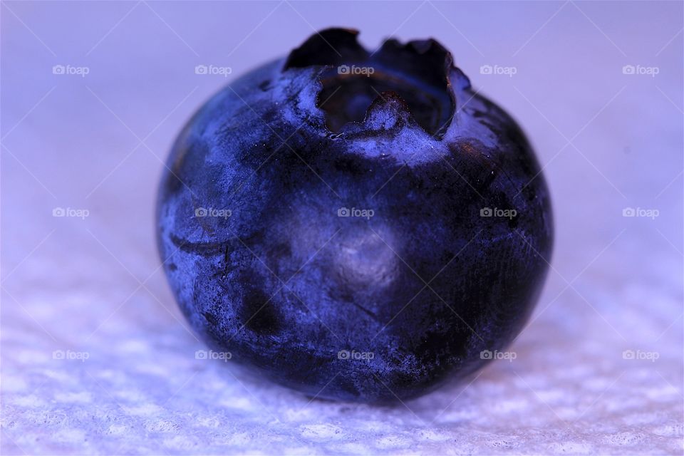 Lone blueberry 