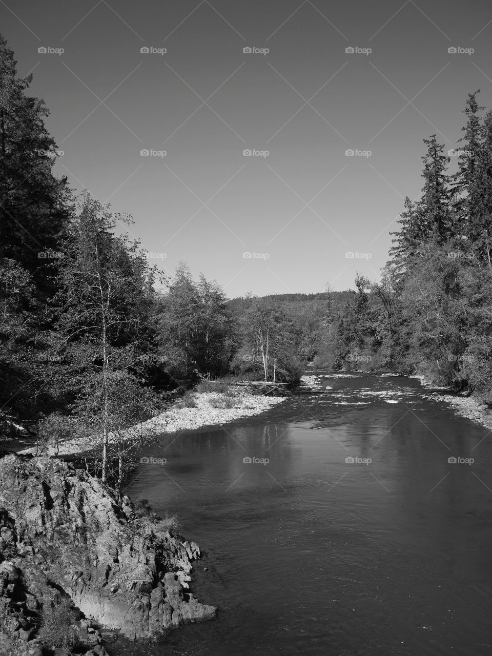 The rocky and rugged shores of the Middle Fork of the Willamette River near Oakridge Oregon filled with trees transitioning to their fall colors on a beautiful sunny day.