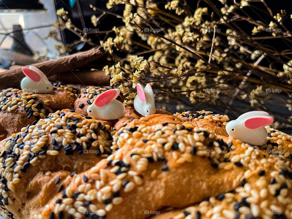 Cute miniature rabbits searching for food on sesame bread in close up view