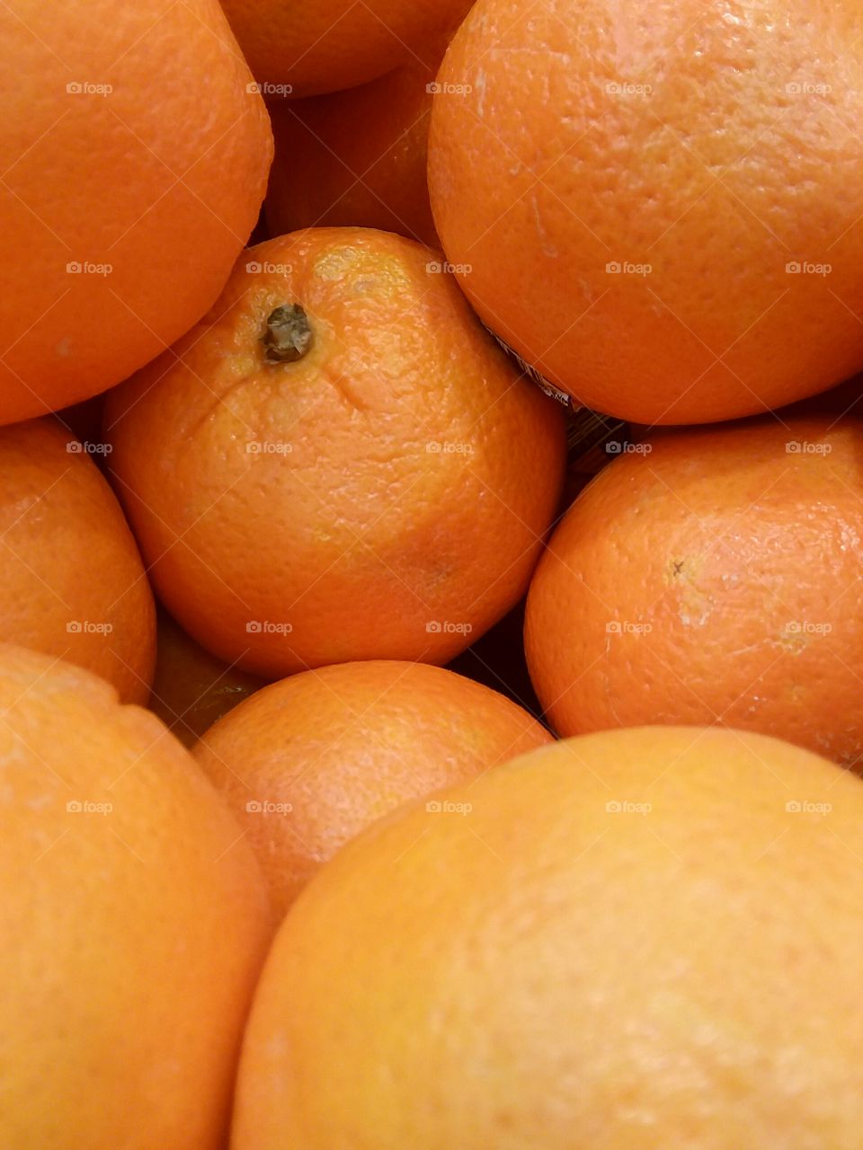 Orange Fruit