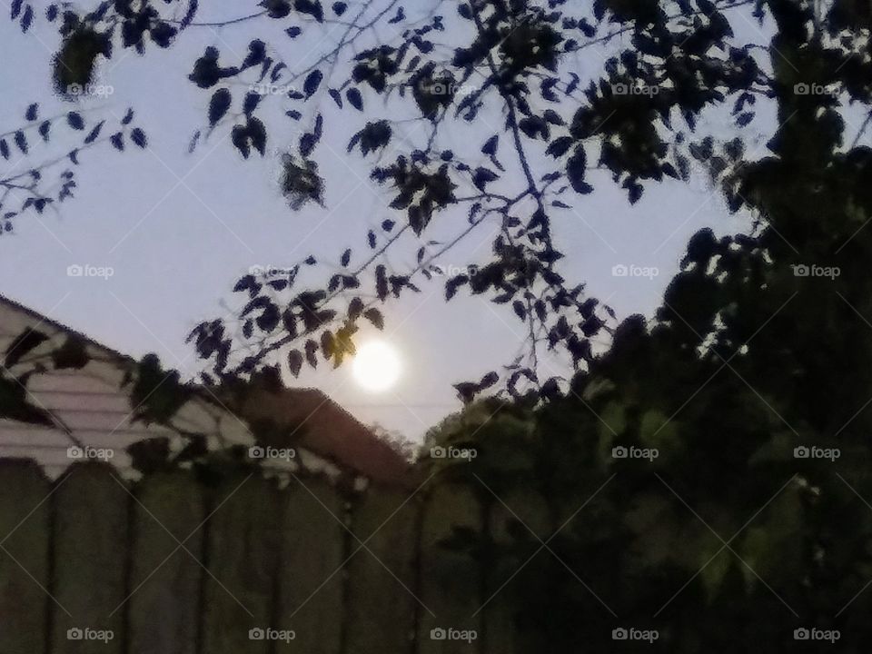 moon over a fence