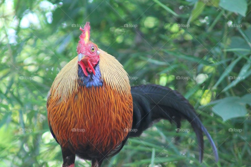 Editors' Choise: Photo of the Week