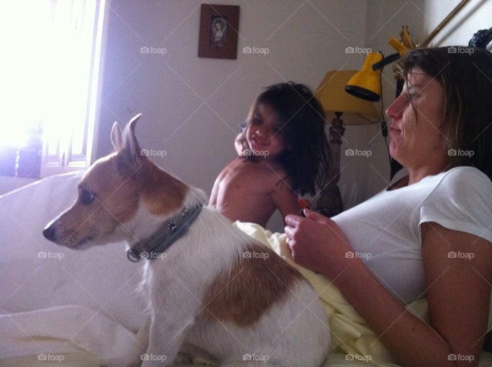 Waking Up . Somehow the dog got in the bedroom and waked everyone up this morning!