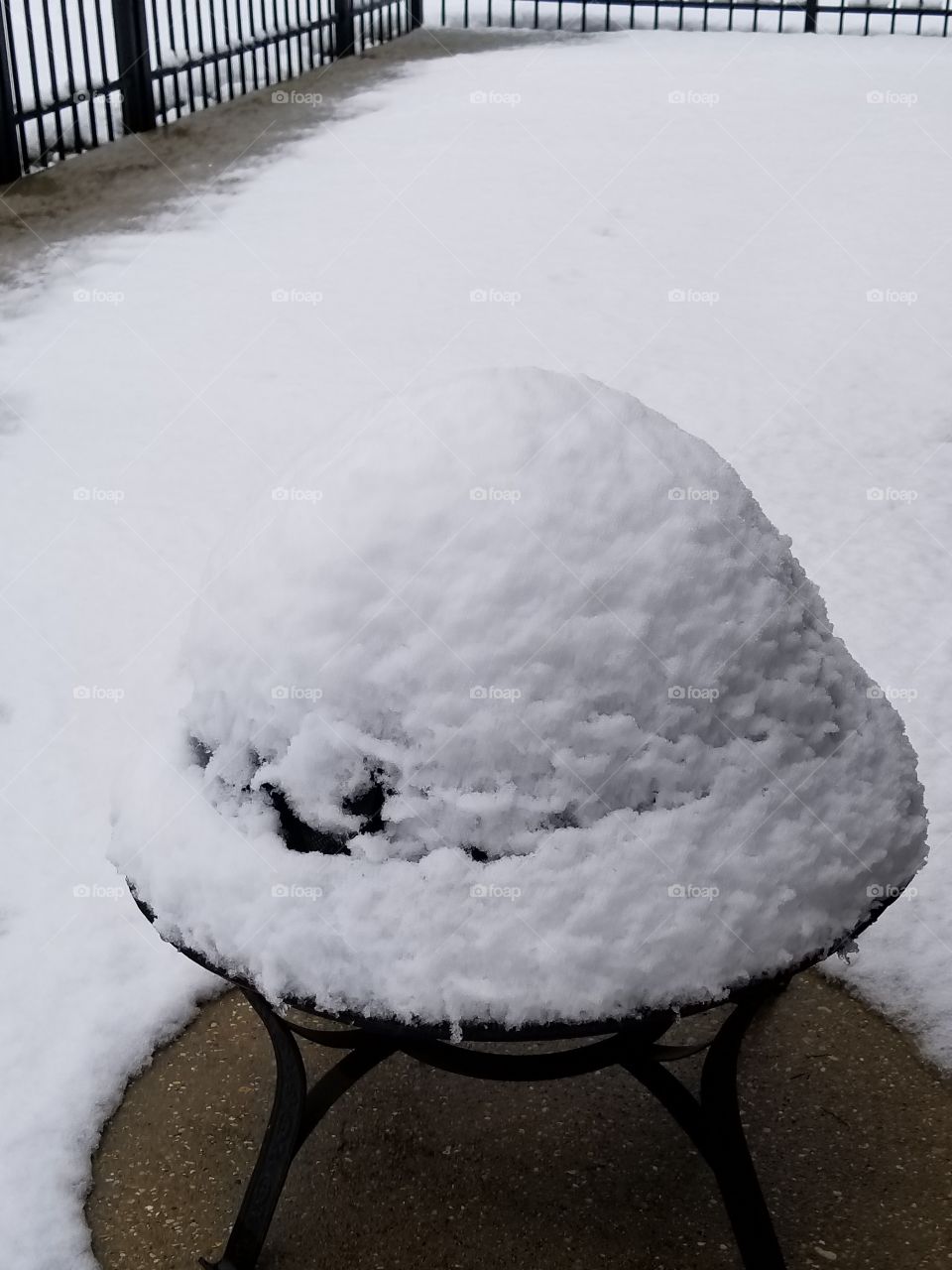 "snow globe"