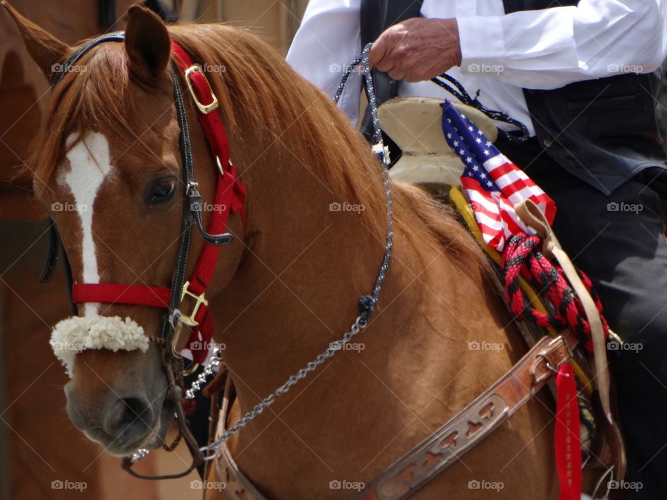 Close-up of cowboy riding horseback