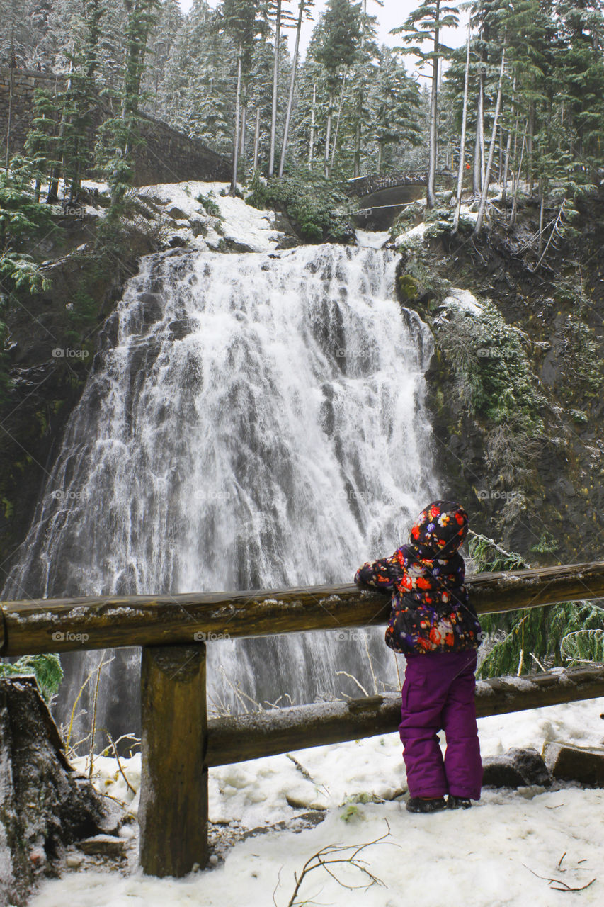 Niagara Falls at Mount Rainier in winter