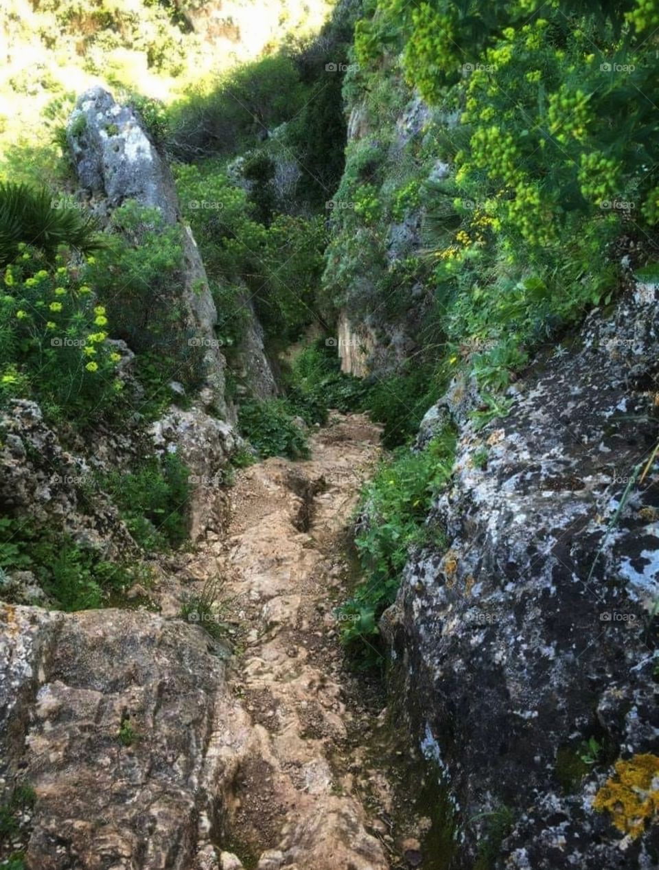 Tragitti di montagna