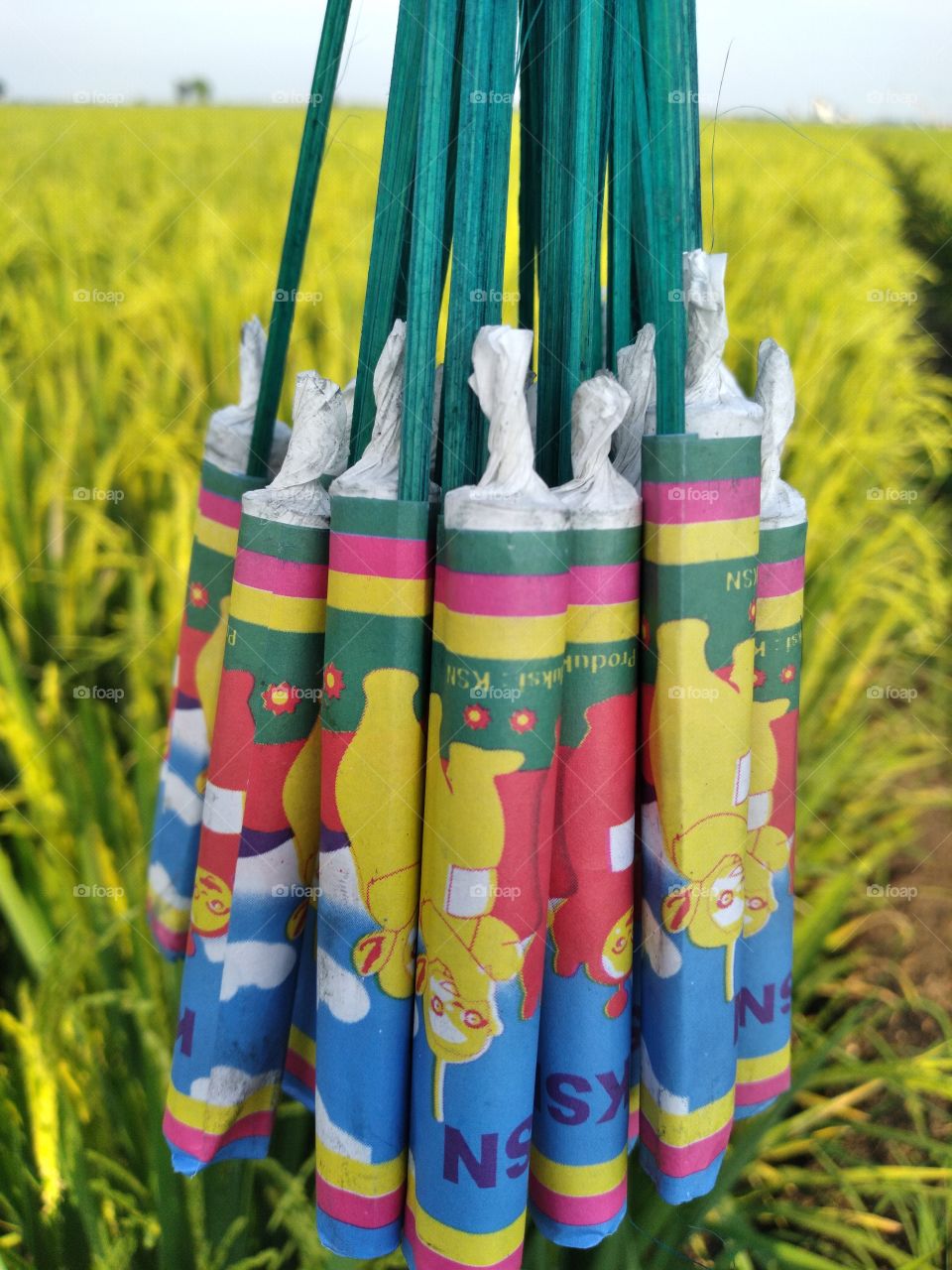 teletabis firecrackers