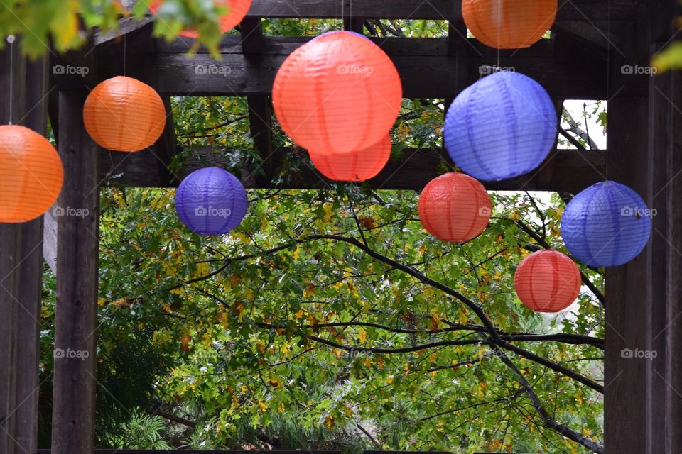 Lanterns hanging on wood