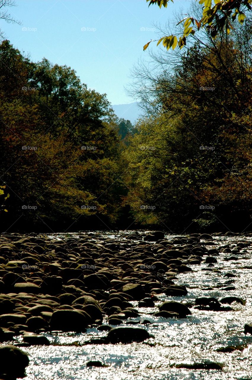 Tennessee River