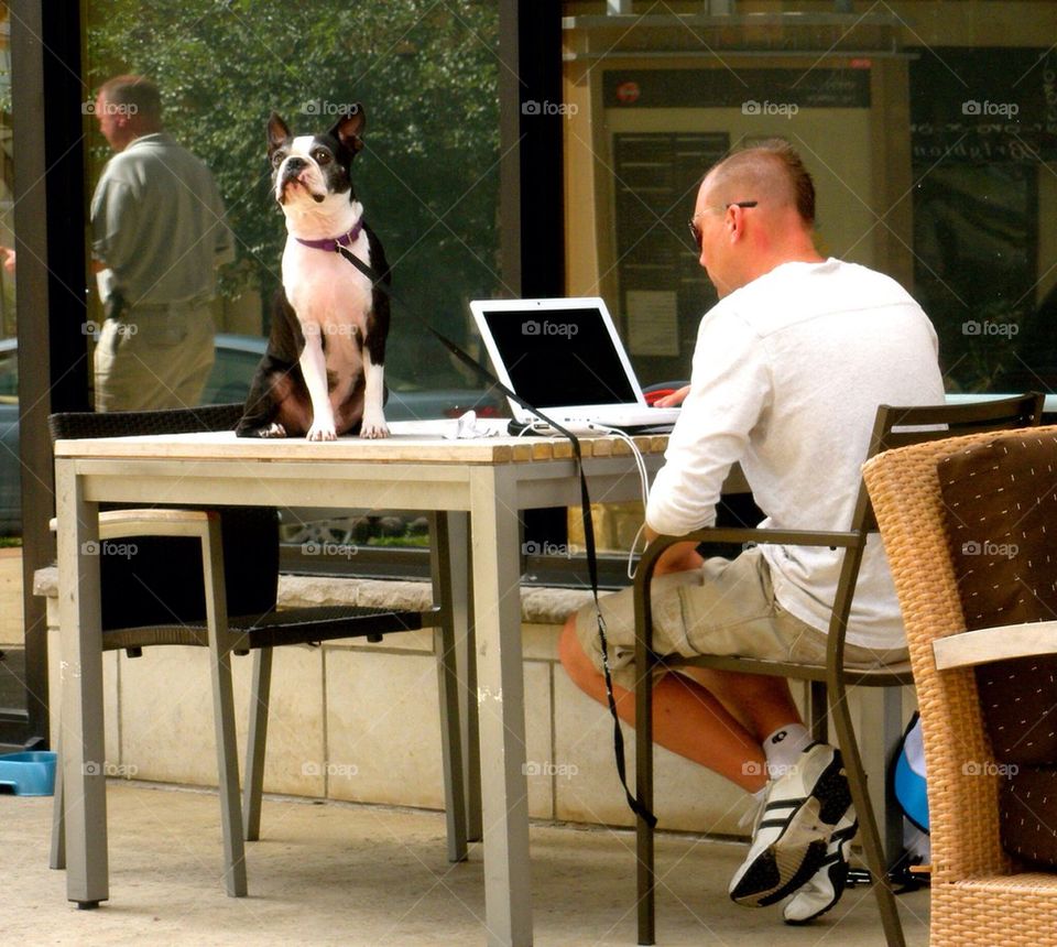 KeepAustinWeird. Dog on table. 