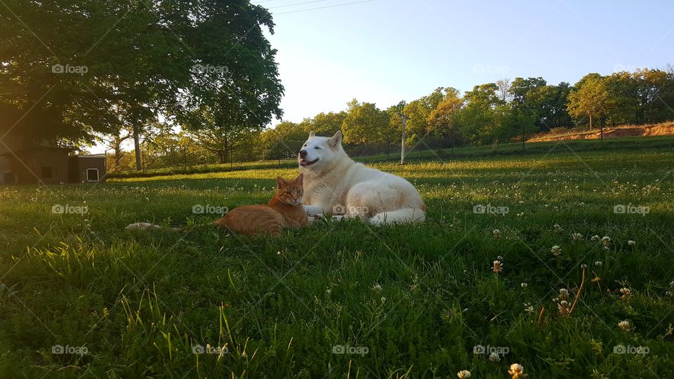 Friends come in all shapes & sizes! And kindness always brings a smile...