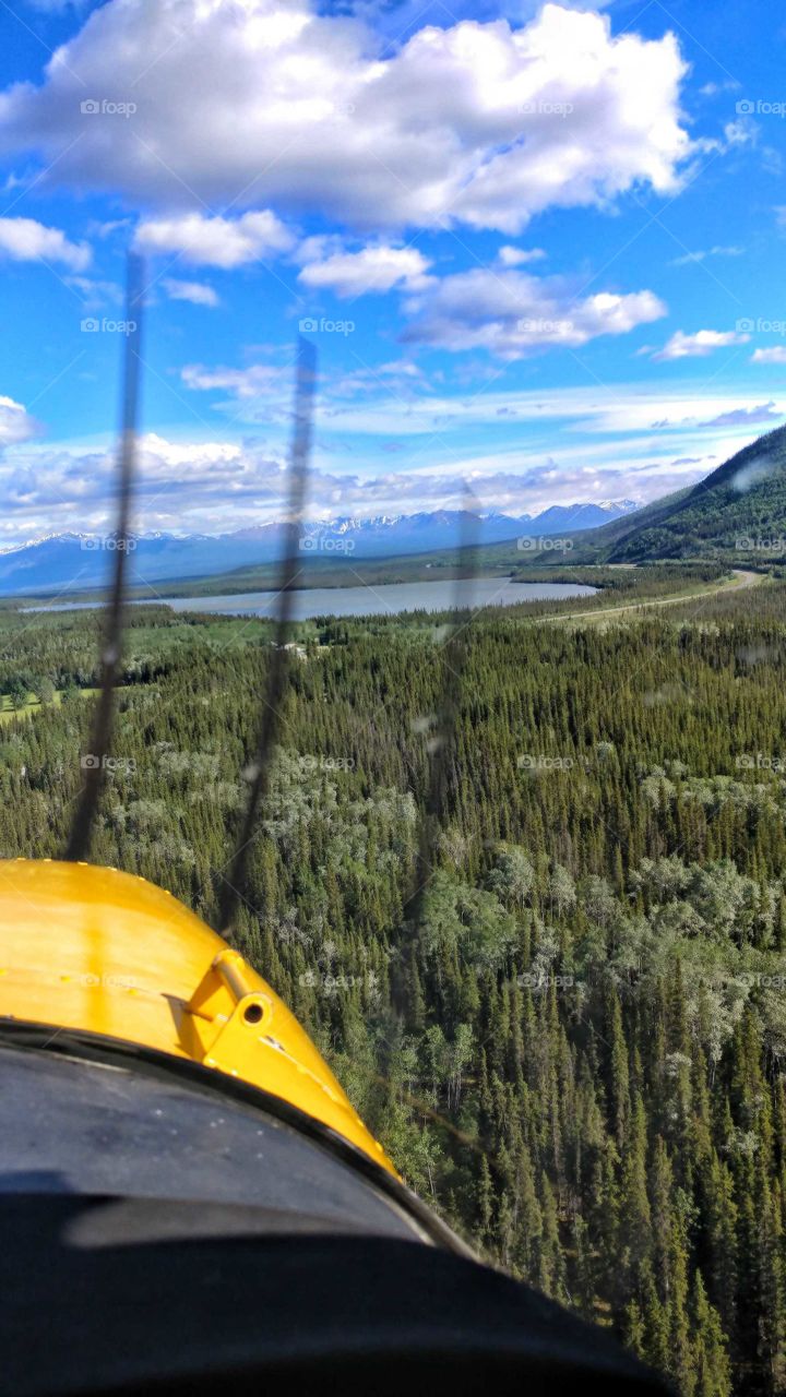 Comming in for a landing over the tree tops on a fishing lake deep into the wilderness of Alaska.