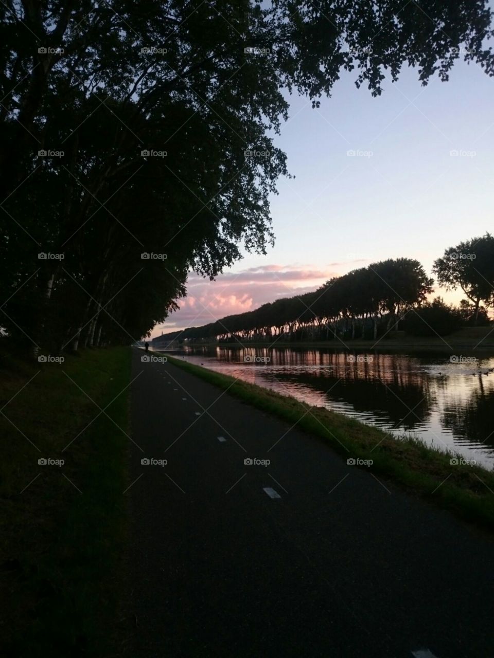 purper sky above canaĺ. fantastic sky above canal with trees om a row