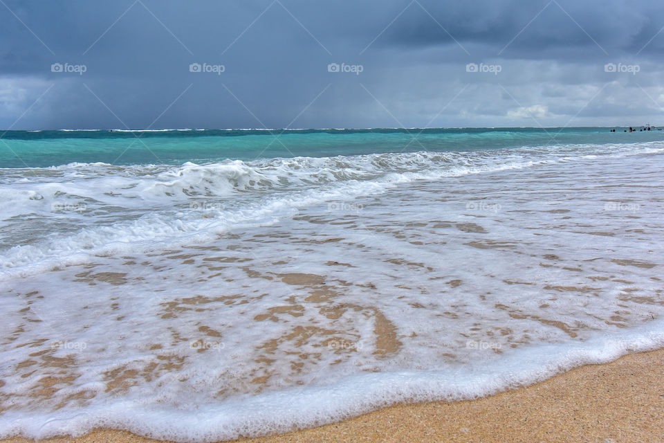 natural landscape at the beach
