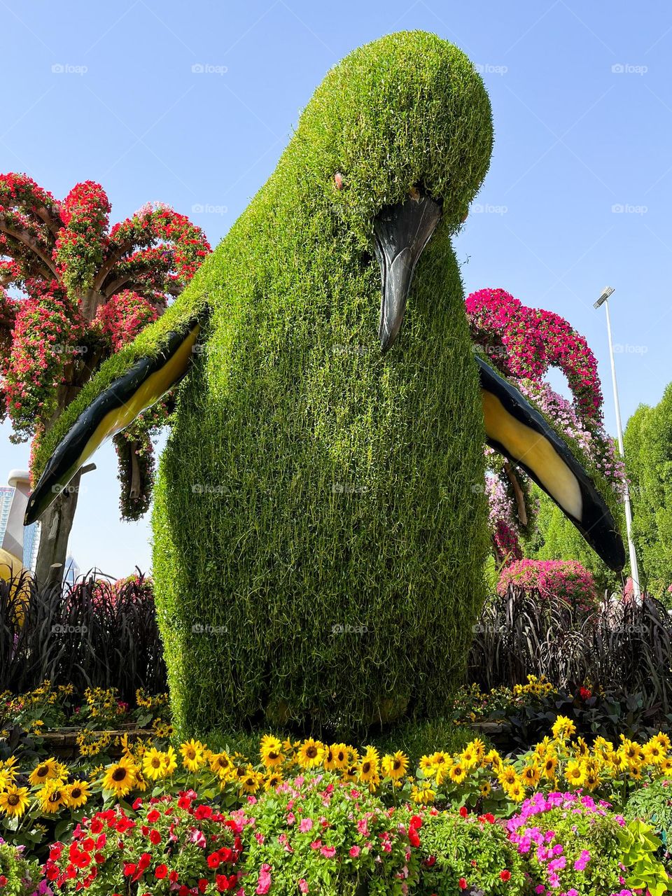 Urban nature Plants, Dubai