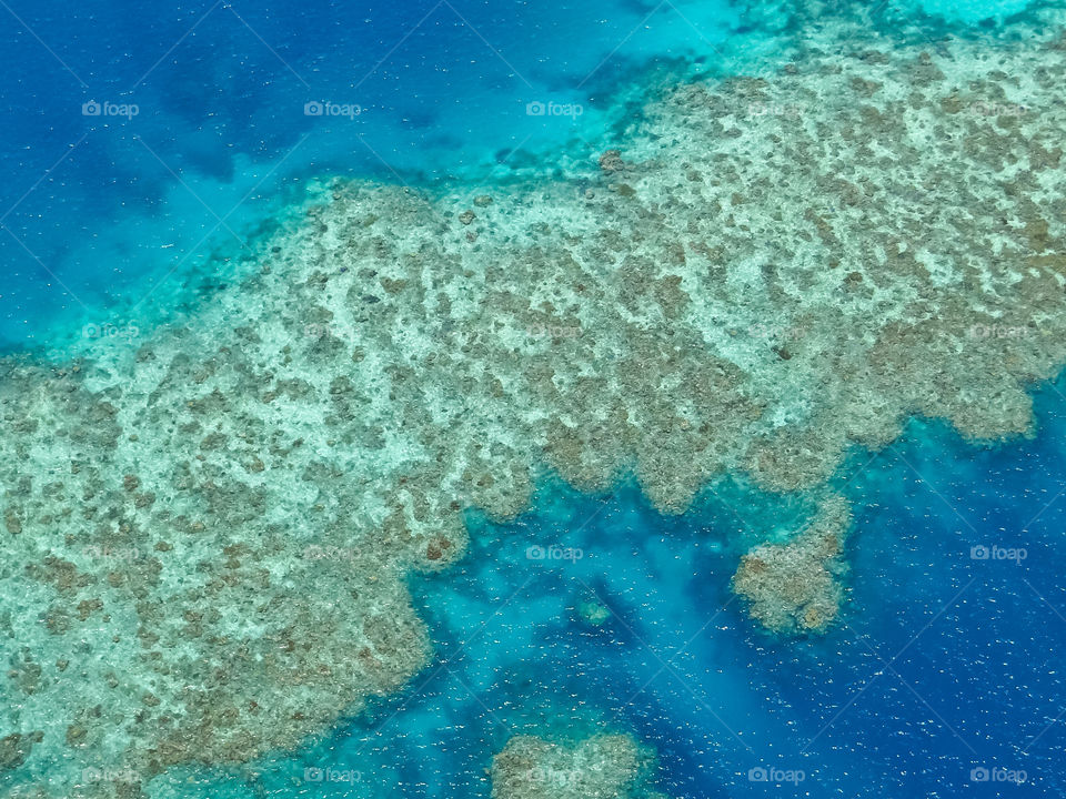 great barrier reef