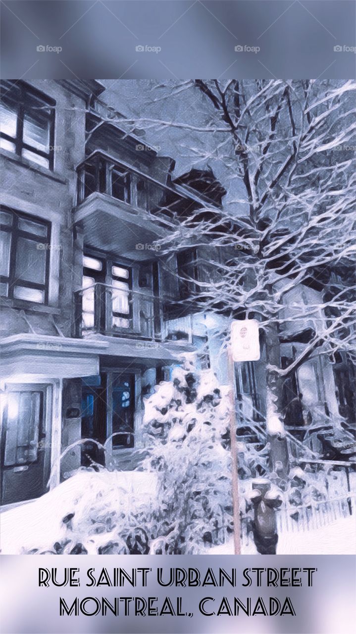 Snowing, Rue Saint Urbain Street, Montreal, Canada 