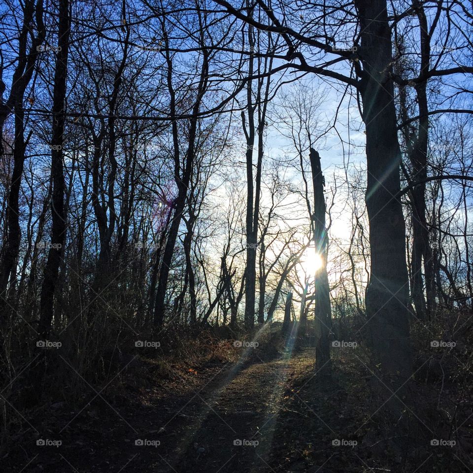 A wonderful trail run this AM. "There is no path to peace. The path is peace." -- Thich Nhat Hanh