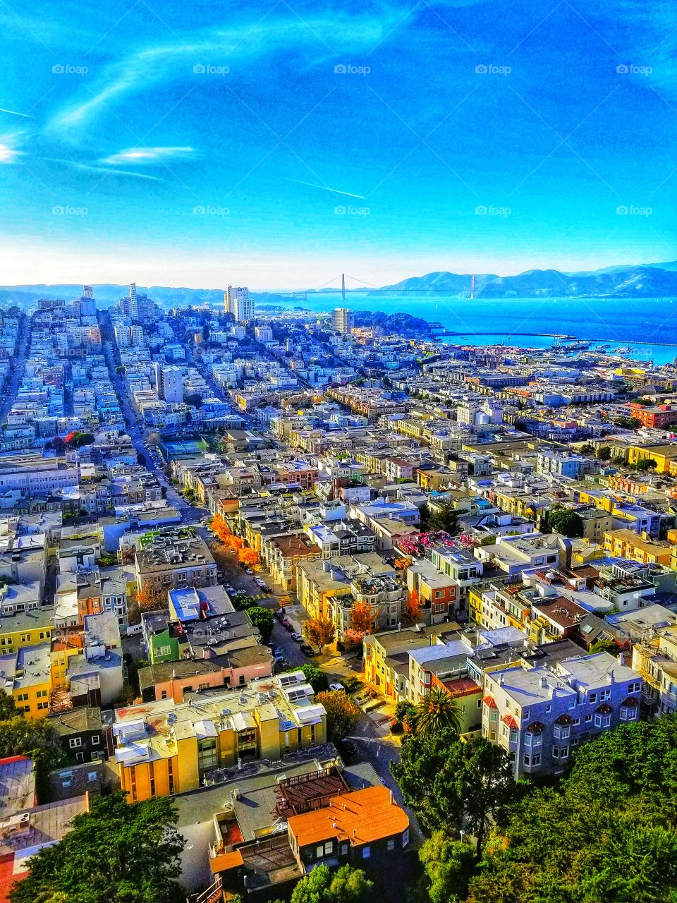 SAN FRANCISCO|california