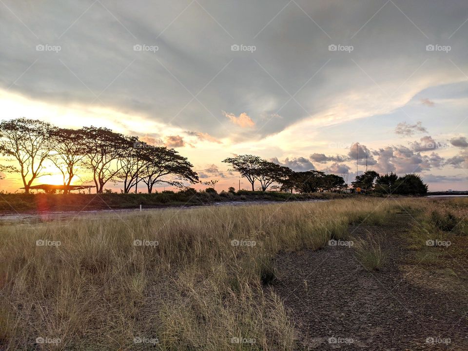 exotic nature of Indonesia in the morning