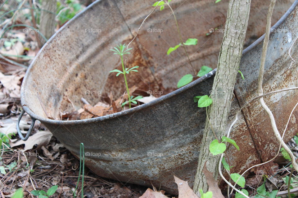 abandoned water tub