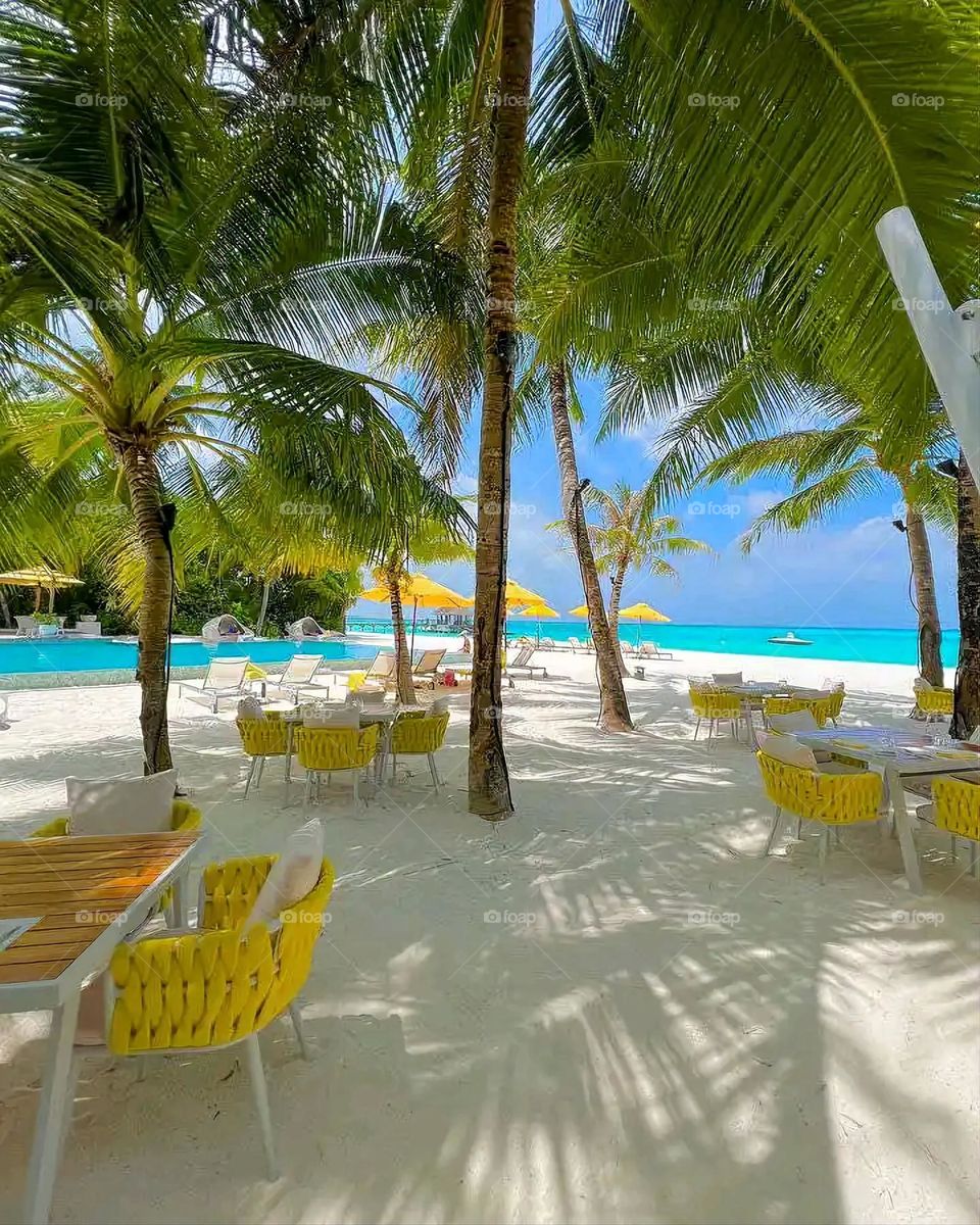 Glory be to God, the magnificent and picturesque view and the natural green trees are a view that is nothing more wonderful than it