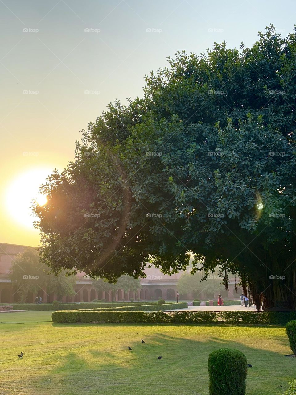 The Evening colours of nature, Beautiful sunset  