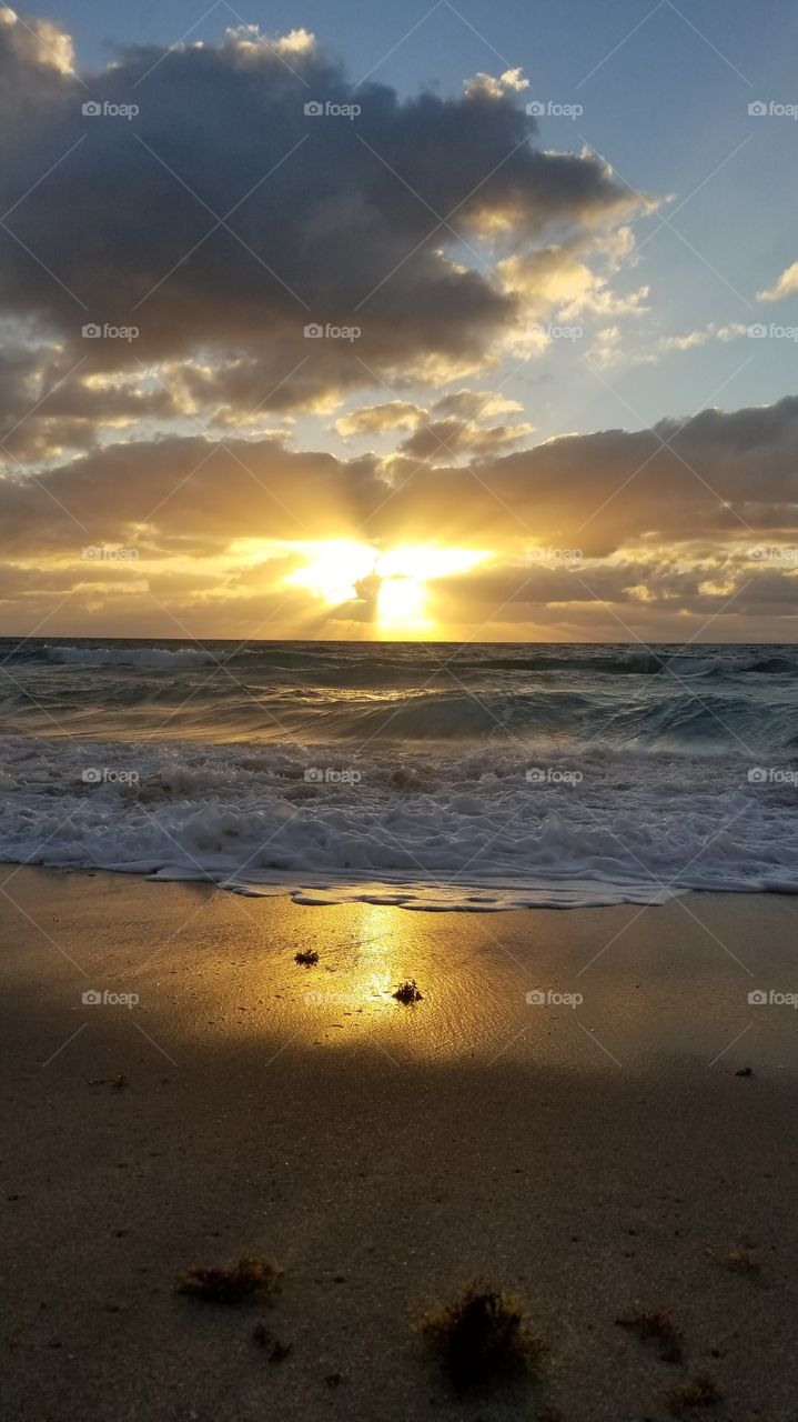 The morning sun in South Florida
