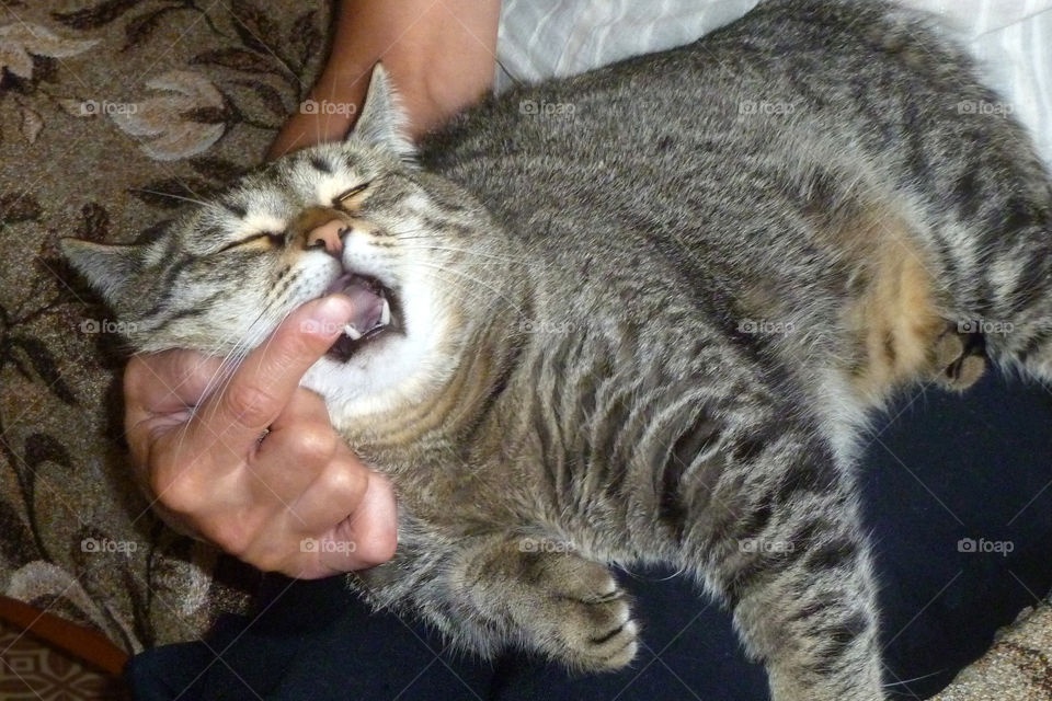 deep sleeping.. can do whatever you want