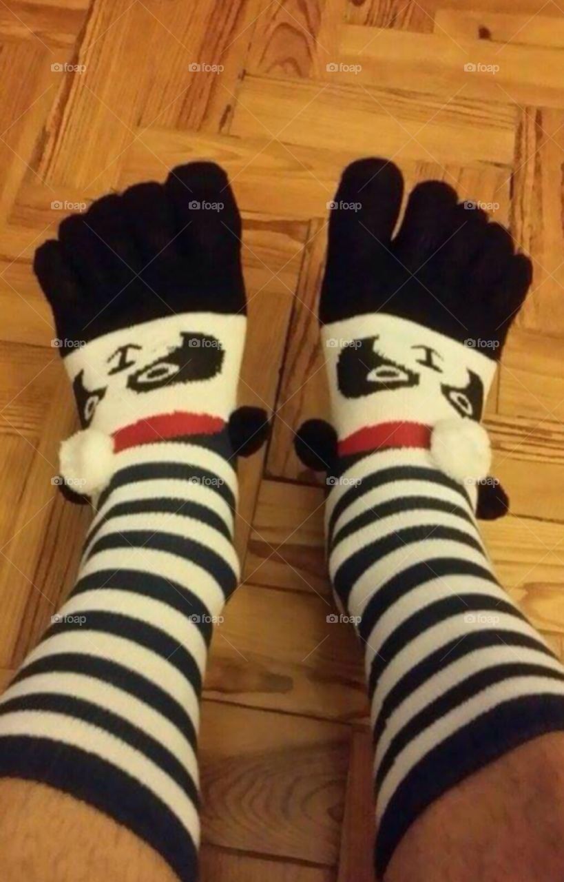 Christmas Bear Socks 