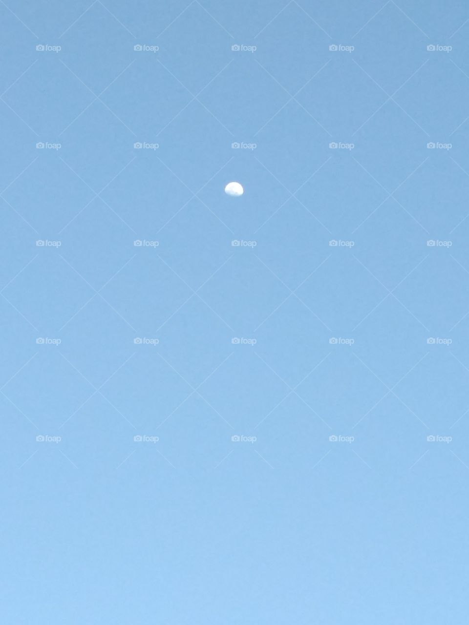 Moon in the day