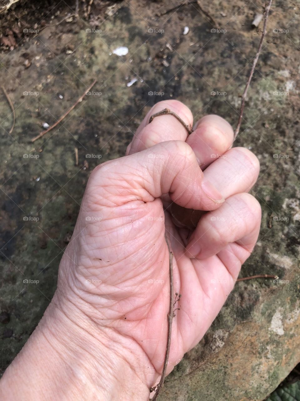 Grounding myself in the natural world 