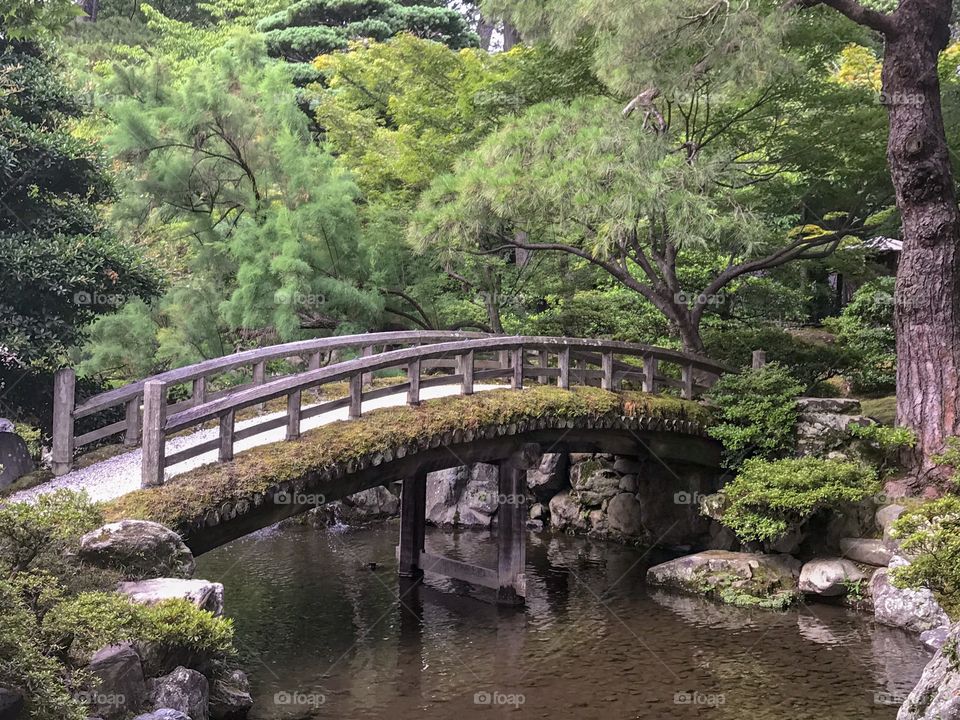 Surreal Japanese garden 