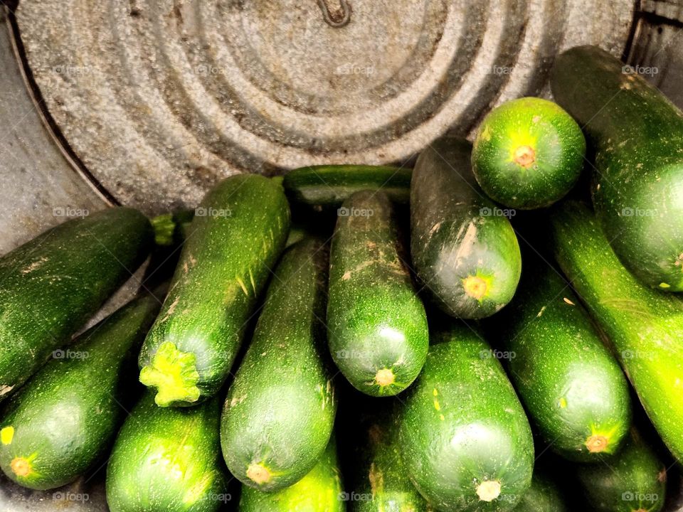 stack of fresh green zucchini for sale in a round metal tin bucket at an Oregon market