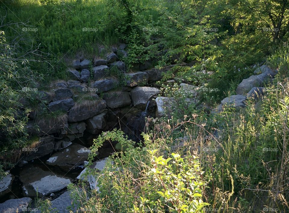 Creek in the Bluffs