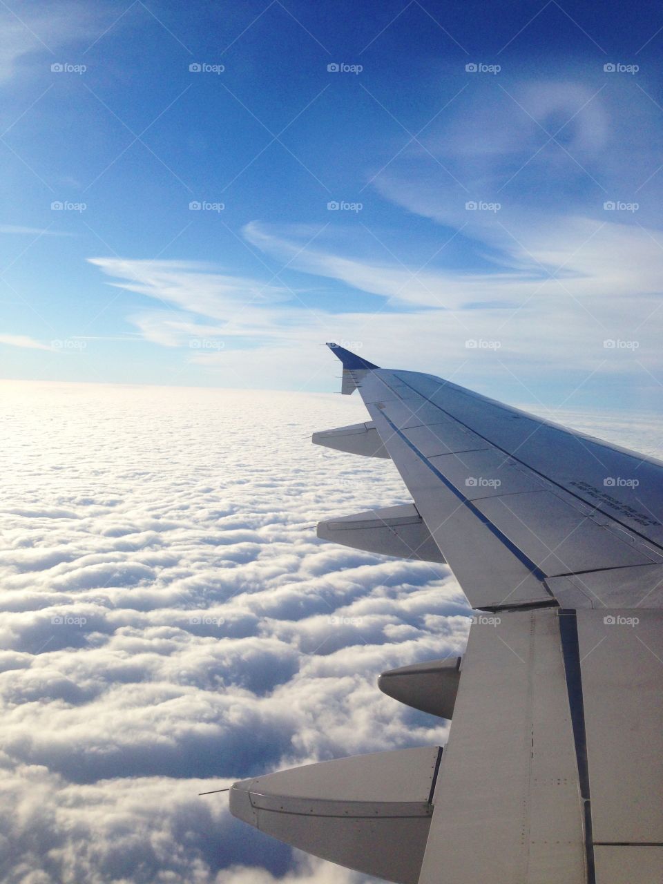 Travel . Thoughts among the clouds