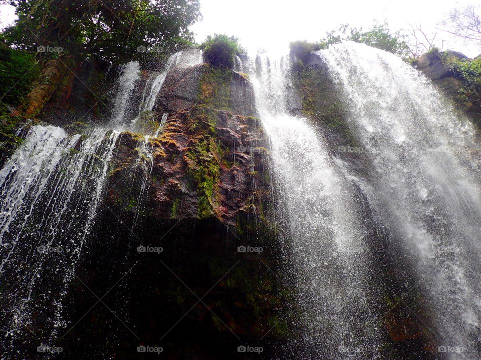 Waterfall in the jungle 