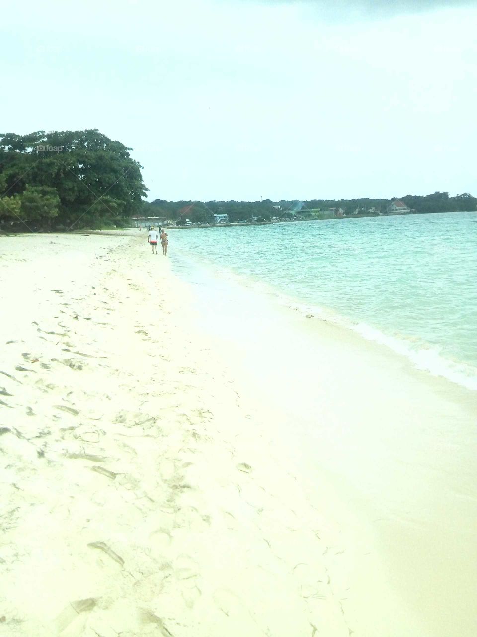 when we walk in the woods and then see in so many  pictures to be taken on your way.