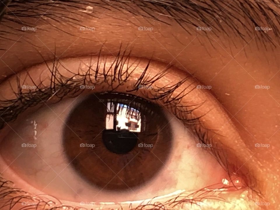 Beautiful human eye looking at camera 