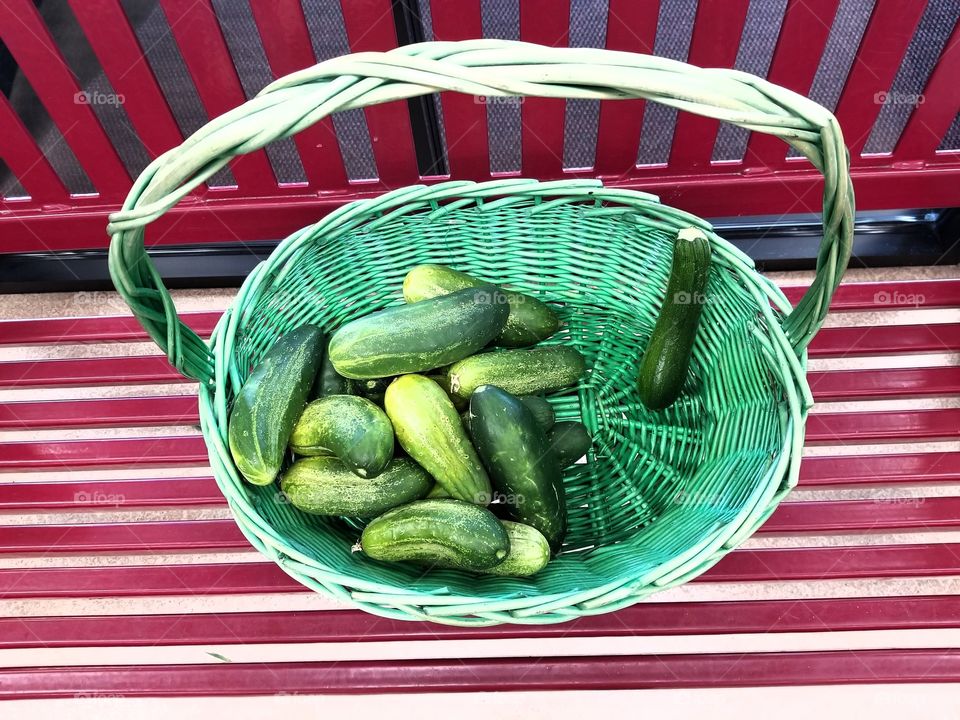 cucumbers in a basket