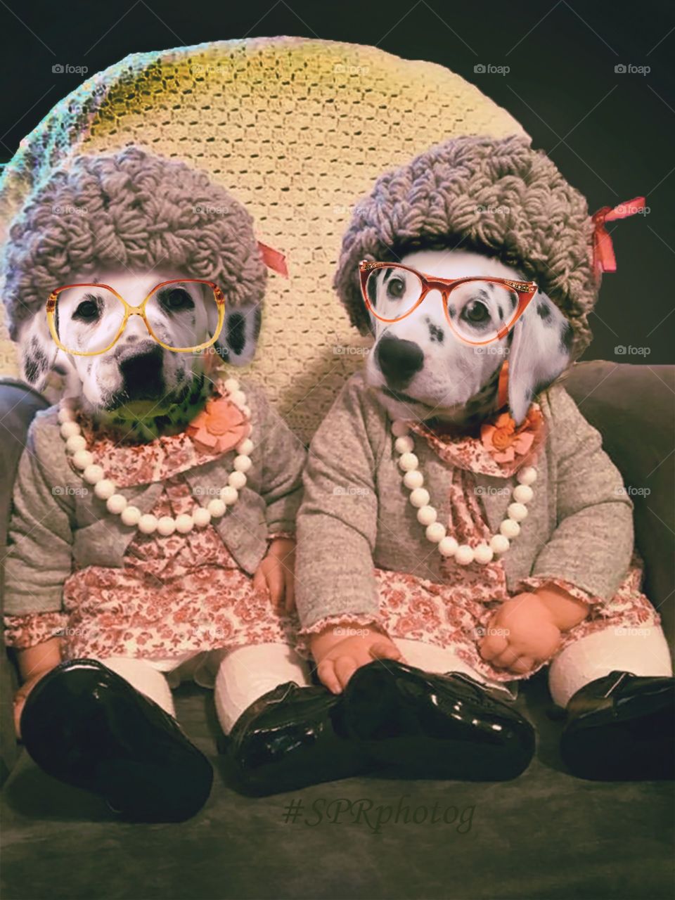 two Dalmatian puppies anthropomorphized as old ladies with glasses sitting in chair
