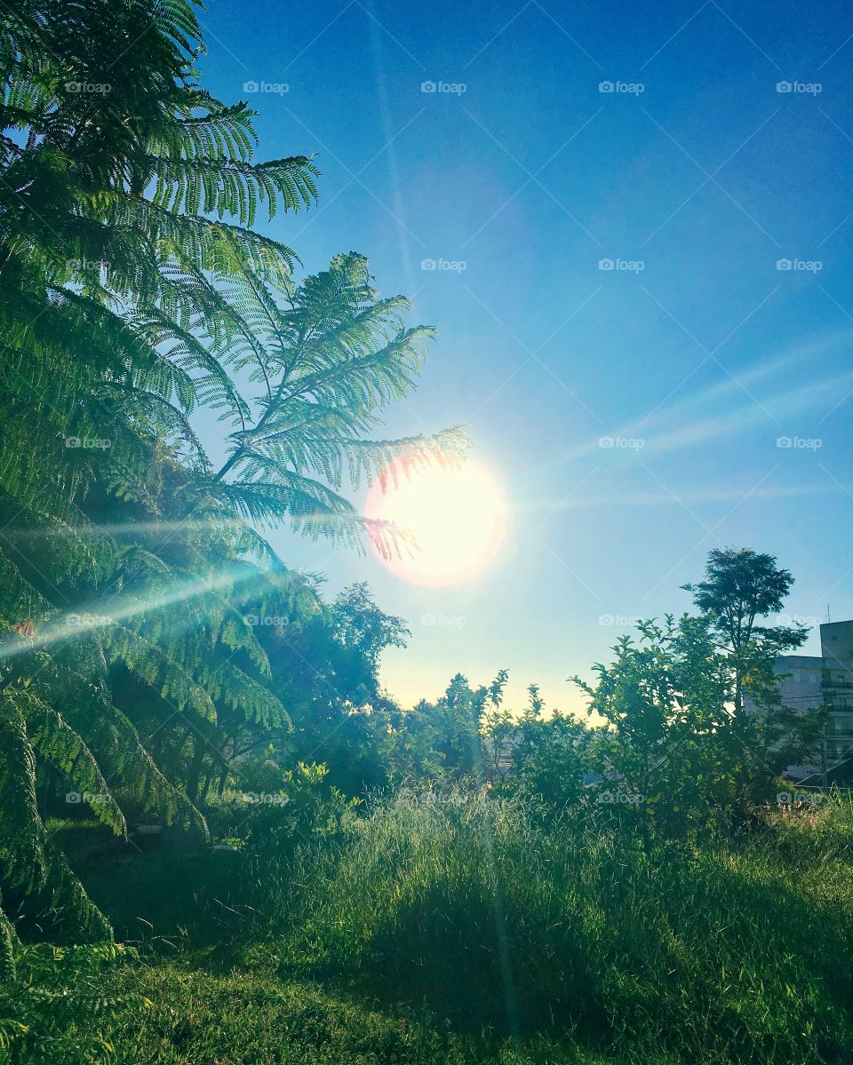 Céu muito belo com sol imponente na manhã de Jundiaí. Agora, 08h e a natureza não se cansa de nos encantar. VIVA A VIDA! ☀️