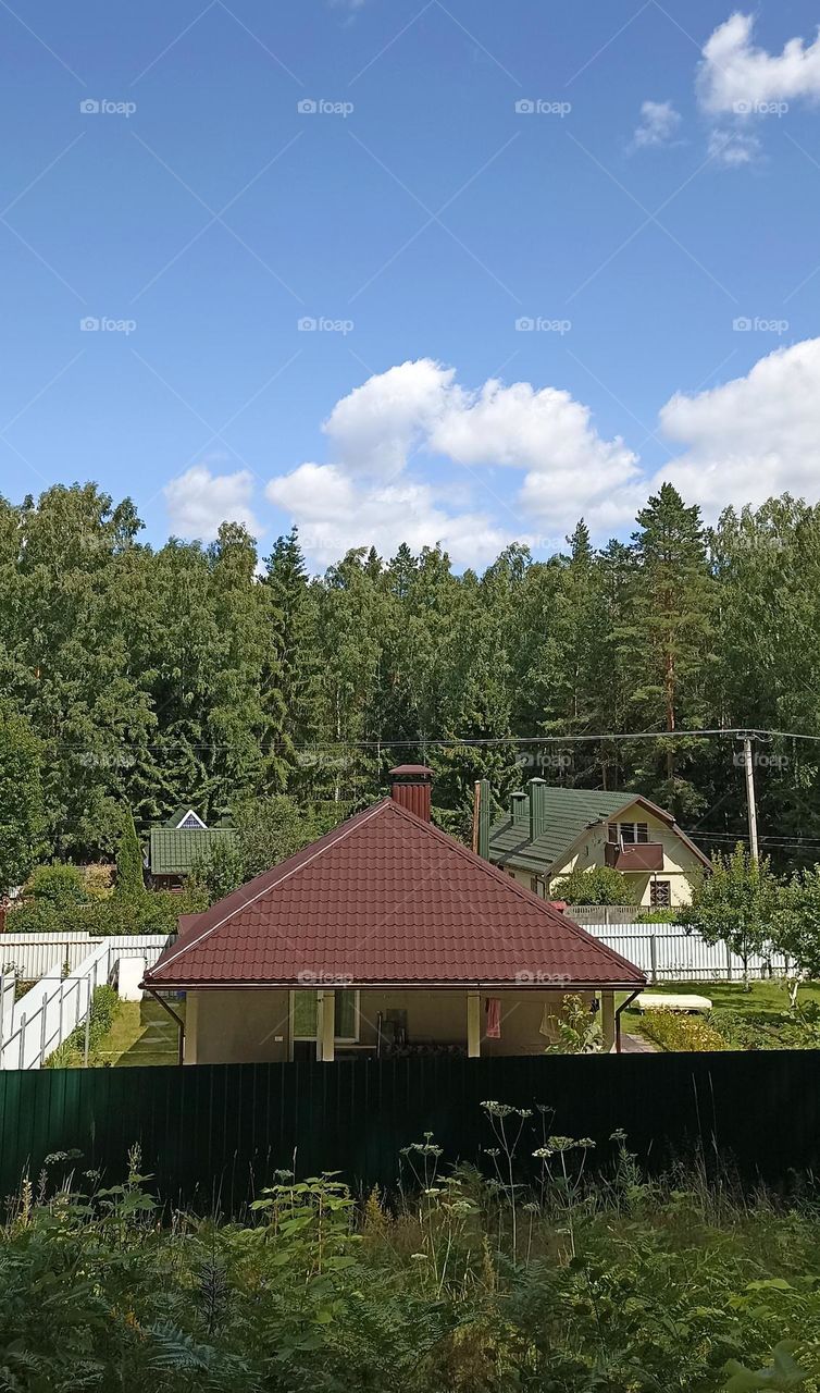 green lifestyle house in the forest 💚🏡🌲🌲