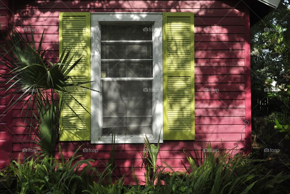 Side of house in color 
