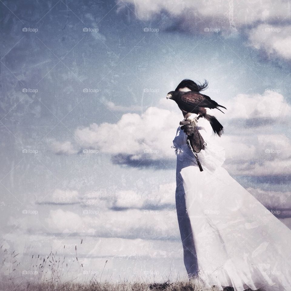 Bride falcon