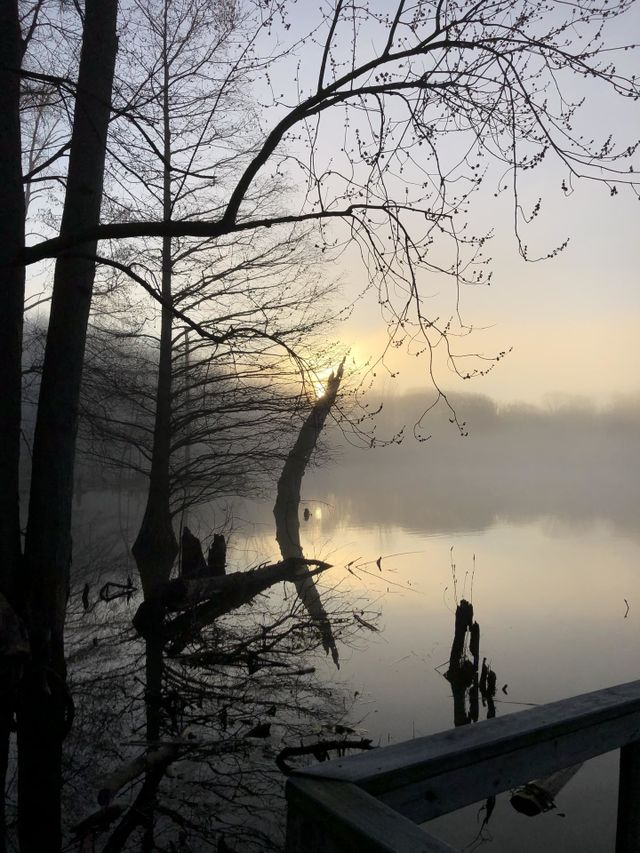 Early morning fishing