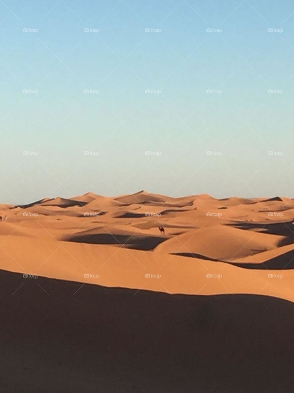 sand dunes in desert